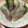 黄金の輝き亭's cooksnap of when they made 簡単＊生ハムポテト巻き♡.