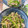 ロックンかおりん☆'s cooksnap of when they made 豚肉で簡単　青椒肉絲.