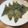 スージー＆ジル's cooksnap of when they made 載せるのも恥ずかしい☆海苔チーおつまみ.