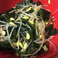 ミレーちゃん's cooksnap of when they made ダイエットにも！豆もやしとわかめのナムル.