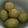 Yokchina's cooksnap of when they made 巨峰や葡萄の冷凍フローズンぶどう.