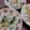 ひっこ's cooksnap of when they made きゅうりとオクラ、コーンのツナマヨサラダ.