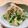 Cocopppi's cooksnap of when they made ☆もやしとかいわれのさっぱり和え☆.