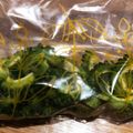 WAUAAAAAAA's cooksnap of when they made ゴーヤの保存.