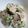 クックLH597C☆'s cooksnap of when they made ゴーヤと鯖缶のおつまみサラダ.