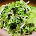 ❁ジェニー❁'s cooksnap of when they made 簡単！メイン級★水菜のチョレギサラダ.