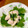 monari0510's cooksnap of when they made 今が旬！！鮭の白子ぽん酢.