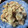 ＭＩ−ＳＡＮ's cooksnap of when they made 鶏もも肉と蓮根の中華炒め.