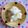 チェックのミニくま's cooksnap of when they made 白菜とゆでイカのサラダ.