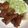 クック2H9MD0☆'s cooksnap of when they made 圧力鍋を使わずに☆豚の角煮.