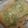 ヨシヨッシー's cooksnap of when they made 簡単！しらすと枝豆のマヨチーズトースト☆.