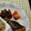さぁ★たぁ★'s cooksnap of when they made 簡単！漬け込み♪ぶりの にんにく醤油焼き.