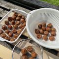 クックVWZD6F☆'s cooksnap of when they made 梅干を作ってみよう☆～土用干し♪.