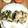 食いしん坊ペンギン's cooksnap of when they made 100均容器で、鮭マヨ塩こんぶのおにぎり.