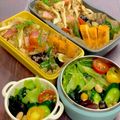 ルぴあ's cooksnap of when they made ポリ袋で1分　定番『小松菜の浅漬け』.