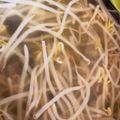 リューキヒナmama's cooksnap of when they made 妊婦つわり時に★生姜もやしスープ.