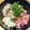 いたちゃん55's cooksnap of when they made マグロとしらすの山かけどんぶり.