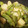£るき£'s cooksnap of when they made じゃがいもとササギの煮物.