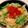 あい♪らんど's cooksnap of when they made 秋鮭といくらでホッコリ釜飯~.