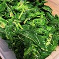 こずっぺ's cooksnap of when they made すぐ出来る！モロヘイヤのお浸し.