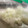 cook_tabby's cooksnap of when they made 冬瓜(姫冬瓜、ミニ冬瓜）の簡単な切り方.