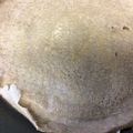 葉月優希's cooksnap of when they made そば粉100%のガレットの生地.
