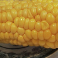 あゆたっくん's cooksnap of when they made とうもろこし　甘〜い簡単茹で方 皮剥き方.