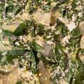 ちゃぎー's cooksnap of when they made 冬瓜とモロヘイヤのスープ.