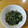 にゃーちゃん０８０５'s cooksnap of when they made めんつゆ2倍で簡単 ほうれん草のごま和え.