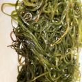 えだま21's cooksnap of when they made 生昆布のにんにく炒め.