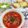 在宅勤務のおじさん's cooksnap of when they made 簡単❗トマト缶でトマトスープ(⌒‐⌒).