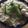 クック2H9MD0☆'s cooksnap of when they made 冷やし塩そうめん　2022.7.21.