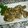 ◆ヴァンペコ◆'s cooksnap of when they made 長いものほんだし揚げ*.