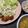 ayusak's cooksnap of when they made 下味冷凍＊チキン南蛮.