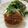 まろリーナ's cooksnap of when they made 豆腐チーズハンバーグ♪簡単.