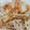 ぴょんた0913's cooksnap of when they made さきいかともやしの胡麻マヨ和え.