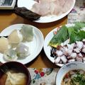 たけ2023's cooksnap of when they made 小さいカワハギの刺身・さばくよ♪.