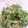 ナツ☆ママ's cooksnap of when they made もやしときゅうりのナムル風ゆかり和え.