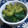 どんころ's cooksnap of when they made 比率は１：１　簡単たたききゅうりの漬物.