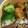 M130018's cooksnap of when they made 簡単♪きゅうりと塩昆布の浅漬け.