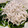 もえぴ–'s cooksnap of when they made 簡単ほうれん草のお浸しのしらすのせ.