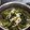 裏・日刊はまの食卓's cooksnap of when they made ☆高菜と油揚げの炒め煮☆.