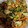 no1642's cooksnap of when they made 鶏むね肉と白菜の中華炒め♪簡単.