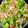 BOWBOW♪'s cooksnap of when they made ☺簡単♪たっぷりきのこのペペロンチーノ☺.