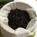 はなぴっち's cooksnap of when they made イライラしない！芽ひじきの戻し方.
