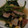 ヨシヨッシー's cooksnap of when they made 簡単！作り置き！ほうれん草バターソテー.