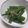 きらり流れ星's cooksnap of when they made 茹でるだけ！おくらのおひたし.