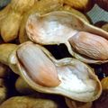 松ぼっくり。's cooksnap of when they made 簡単 落花生のむき方.