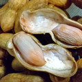 松ぼっくり。's cooksnap of when they made 簡単 落花生のむき方.