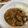 papikun's cooksnap of when they made 旦那大好き超簡単！豚と茄子の洋風煮込み.